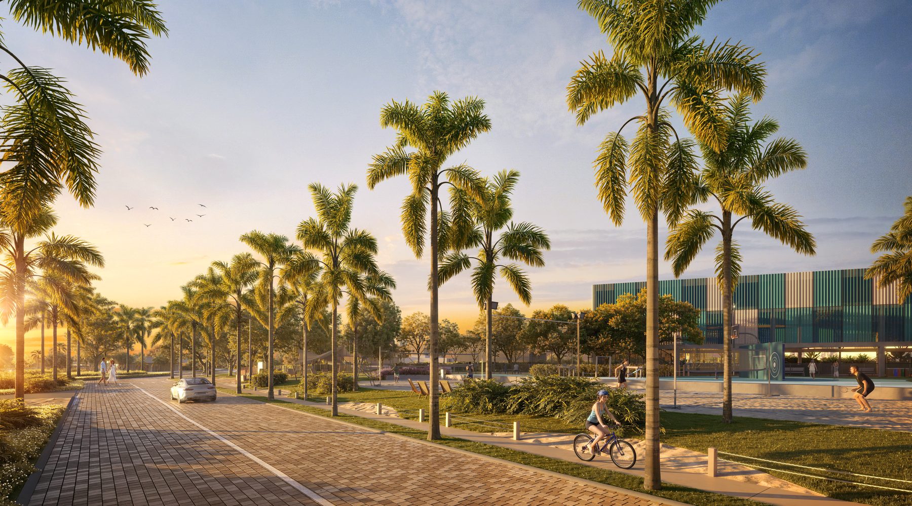 Vista aérea do Noah Beach — avenida com palmeiras